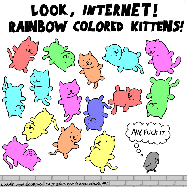 RainbowColoredKittens